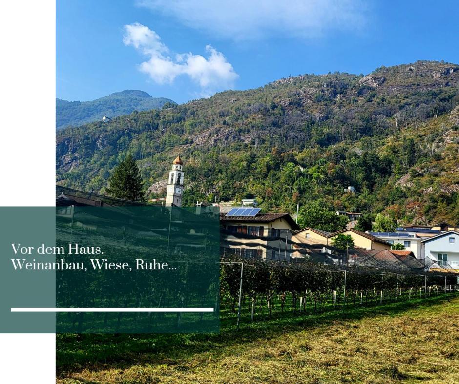 Studio Antico und Arte Tizian di Tegna im Tessin Esterno foto